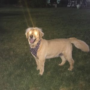 Meet your Posher, Luke